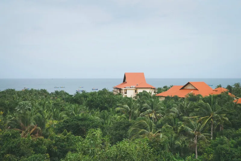 The Palm Tree Effect: What Happens to Scientific Discourse When a Conference Moves to the Tropics