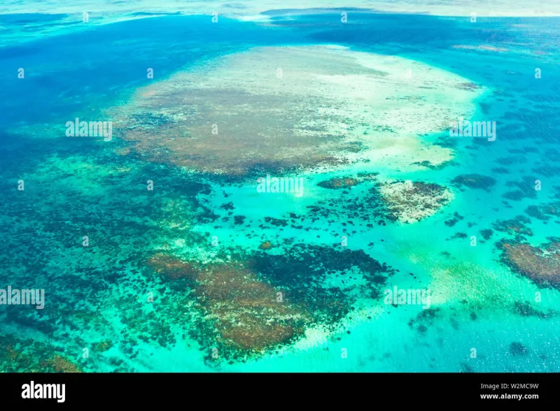 The Shallow-Water Advantage: Why Philippine Reef Acoustics Is a Living Laboratory American Universities Cannot Replicate